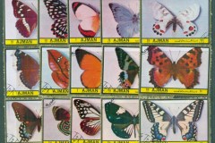 Ajman 1972 Butterflies, Moths 25v Pt.I