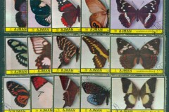 Ajman 1972 Butterflies, Moths 25v Pt.IV