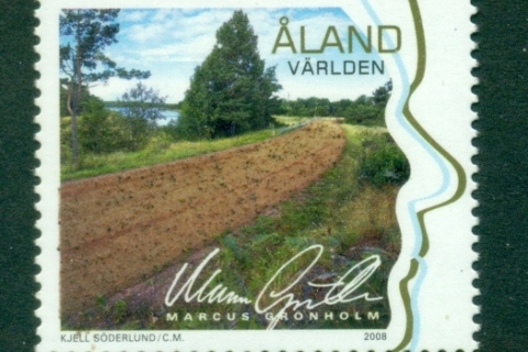 Aland-2008-Rally-Driver