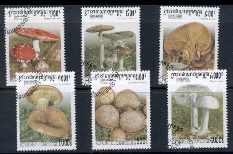 Cambodia-2000-Funghi