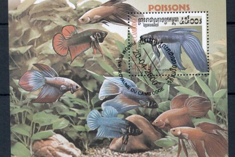 Cambodia-2000-Fighting-Fish-MS-CTO