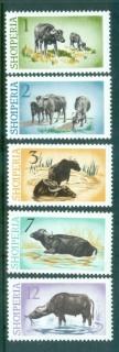 Albania-1965-Water-Buffalo-MUH-lot69515