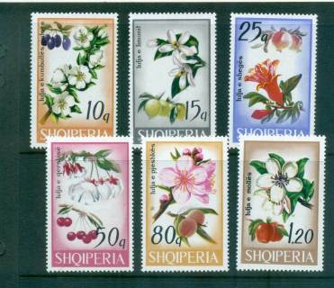 Albania-1969-Flowers