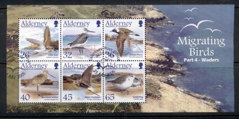 Alderney-2005-Migrating-Birds-PtIV-2