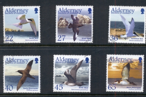 Alderney-2004-Migrating-Birds-PtII-2