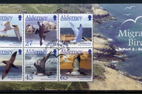 Alderney-2004-Migrating-Birds-PtII