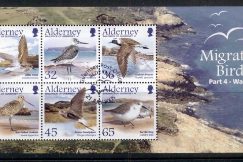Alderney-2005-Migrating-Birds-PtIV-2