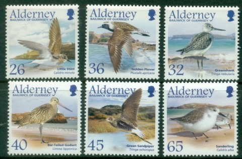Alderney-2005-Migrating-Birds-Waders-MUH
