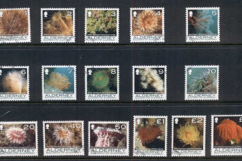 Alderney-2006-07-Marine-Life