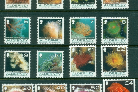 Alderney-2006-Marine-Life-Corals-MUH