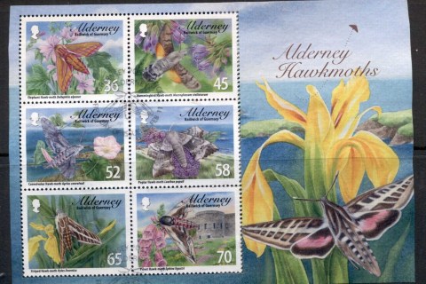Alderney-2010-Alderney-Hawkmoths-MS-FU