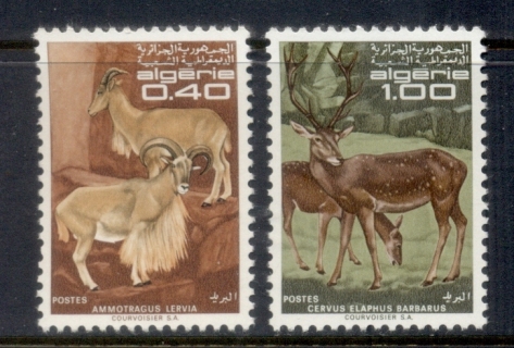 Algeria 1968 Wildlife, barbary Sheep