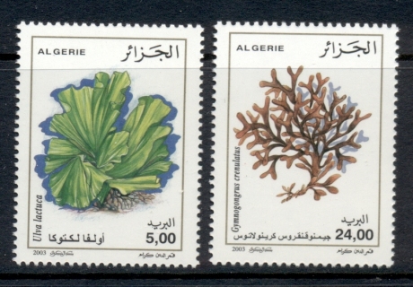 Algeria-2003-Seaweeds-MUH