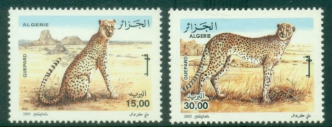 Algeria-2005-Leopards-MUH