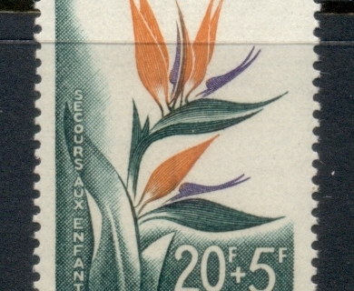 Algeria 1958 Child Welfare