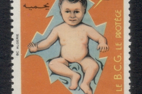 Algeria 1974 Fight Against Tuberculosis