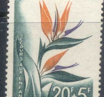 Algeria-1958-Bird-of-Paradise-Flower-MLH