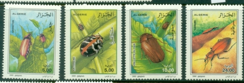 Algeria-2000-Insects-Beetles-MUH