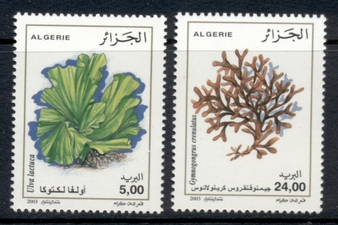 Algeria-2003-Seaweeds-MUH