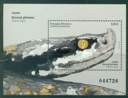 Andorra-Sp-2024-Fauna-Snakes-MS-MUH