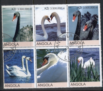 Angola-2000-Birds