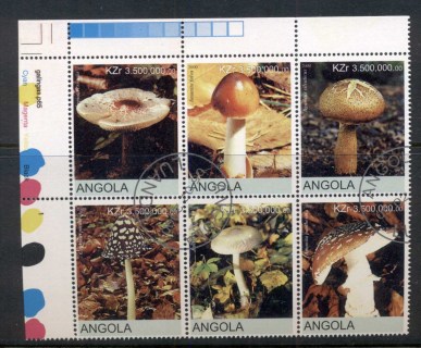 Angola-2000-Funghi