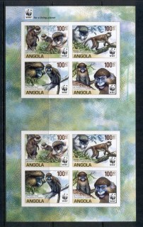 Angola-2011-WWF-Angola-Guenons-2
