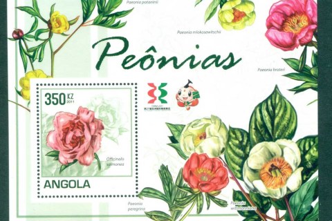 Angola-2011-Flora