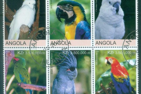 Angola-2000-Birds_2