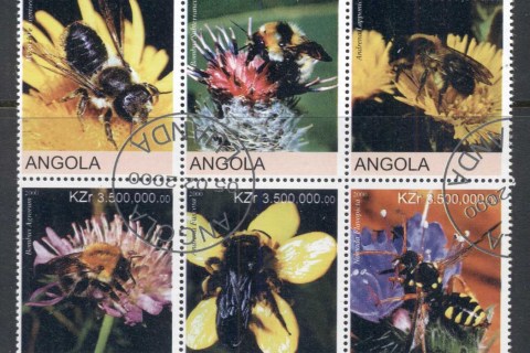 Angola-2000-Flowers-2