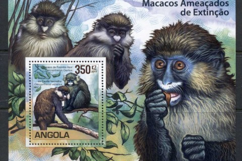 Angola-2011-Angola-Guenons