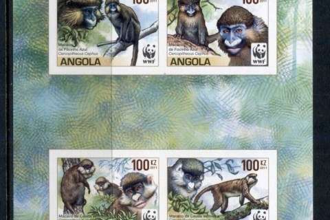 Angola-2011-WWF-Angola-Guenons-2