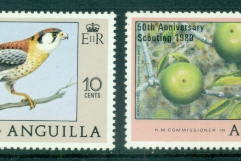 Anguilla-1980-Scouting-Opts-on-Bird