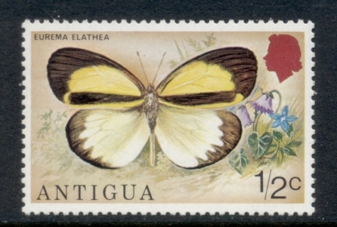 Antigua-1975-Insects