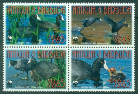 Antigua-Barbuda-2009-WWF-Birds-Caribbean-Coot-MUH