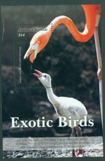 Antigua-Barbuda-2020-Birds-Flamingoes-MS-MUH