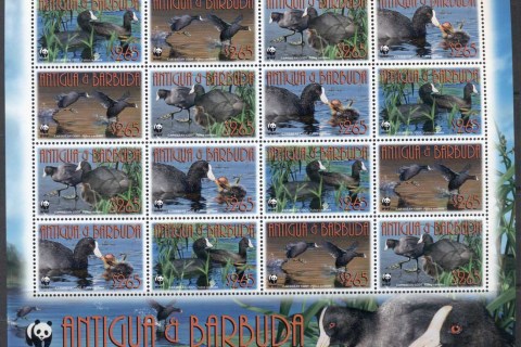 Antigua-Barbuda 2009 WWF Caribbean Coot, bird sheetlet
