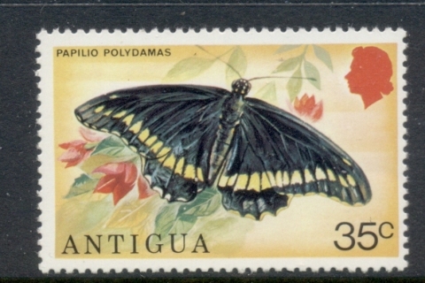 Antigua-1975-Insects_4