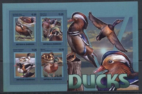 Antigua-Barbuda-2016-Birds-2