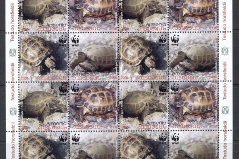 Armenia 2007 WWF Four Toed Tortoise MS