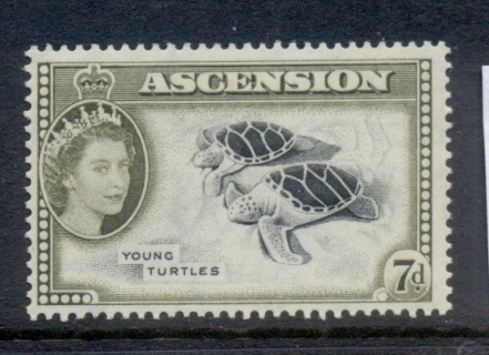 Ascension-Is-1956-QEII-Pictorials-Young-Turtle-7d-MUH