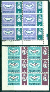 Ascension-Is-1965-ICY-International-Cooperation-Year-Blk-6-MUH-lot66139