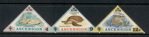 Ascension-Is-1973-Turtles-MLH