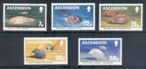 Ascension-Is-1983-Seashells-MUH