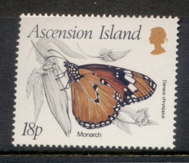 Ascension-Is-1987-Insects