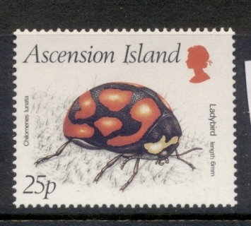 Ascension-Is-1987-Insects_1