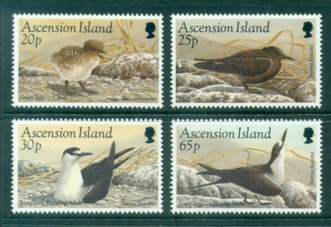 Ascension-Is-1994-Birds