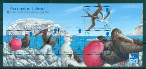 Ascension-Is-2001-Intl.jpg.-Bird-Festival-RSPB-MS-MUH