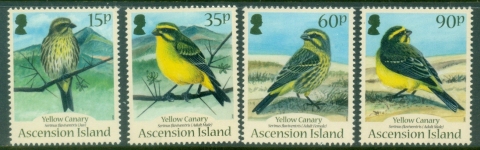 Ascension-Is-2010-Birds-Yellow-Canary-MUH Ascension-Is-2010-Birds-Yellow-Canary-MUH