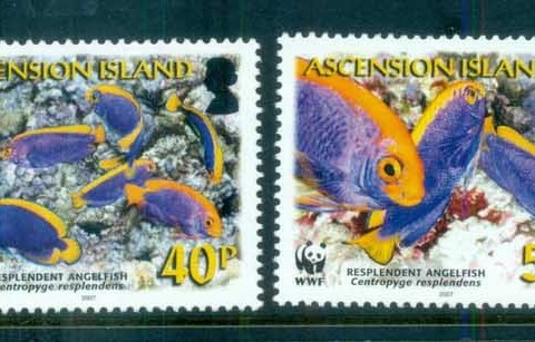 Ascension Is 2007 WWF Resplendent Angelfish